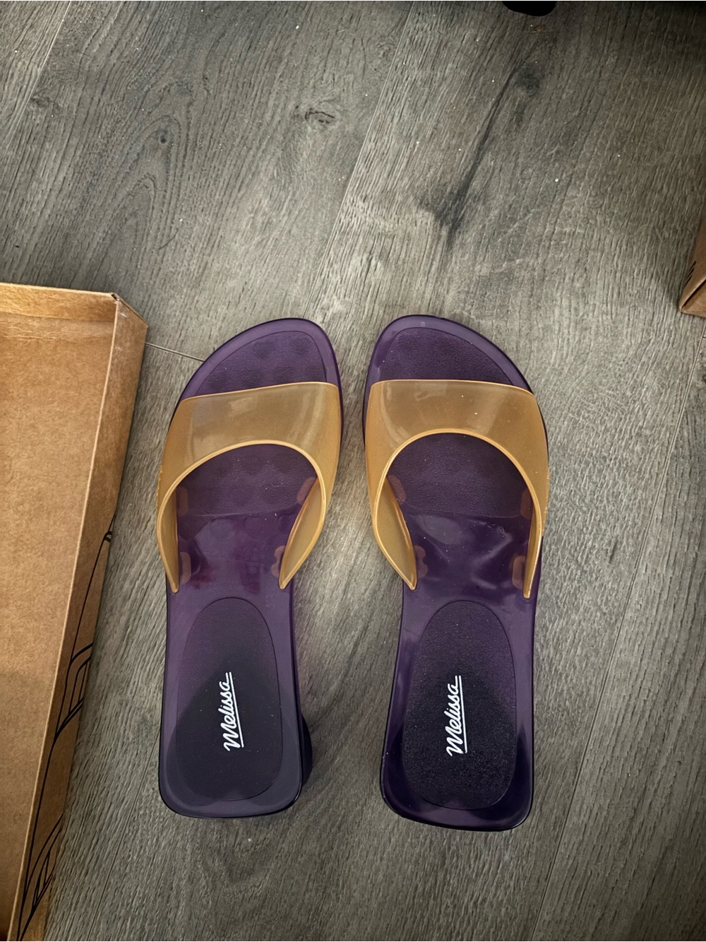 Melissa Purple Slide Sandals with Amber Translucent Strap
